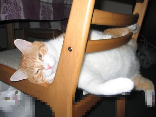 开云网页版-_交响体育演出：运动与音乐的完美结合_，运动与音乐结合的活动