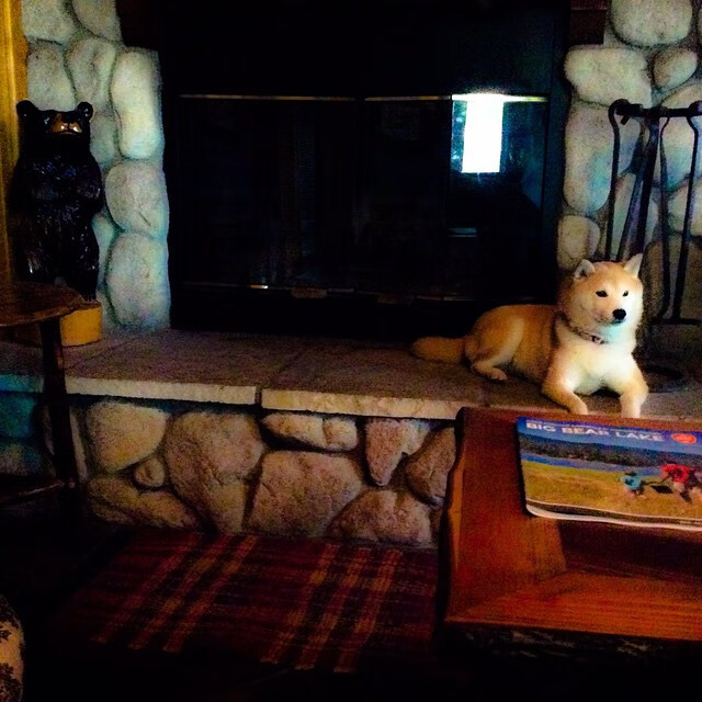 开云平台-NBA品牌价值再创新高，联盟商业化步伐加快，nba 品牌