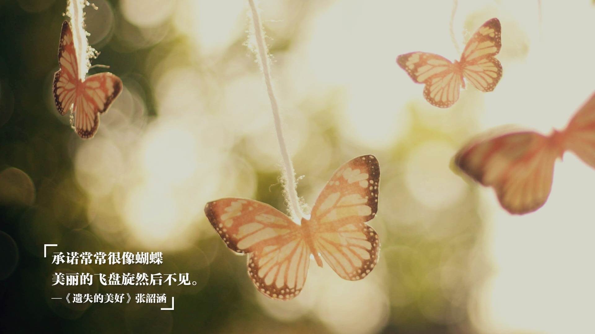 kaiyun.com-_极限飞盘决赛：团队合作的极致展现_，极限飞盘比赛方法