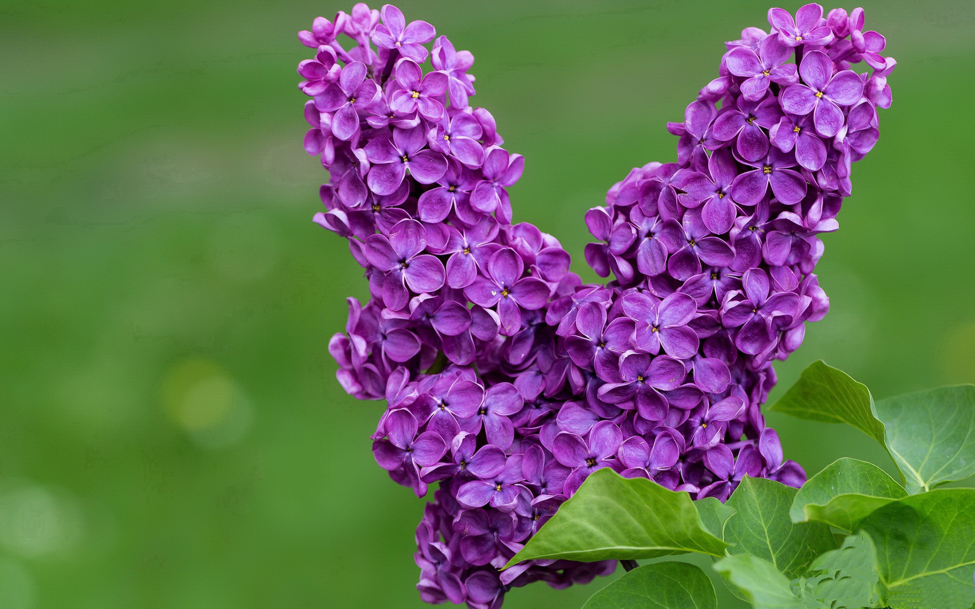 亚洲杯:决赛大战引发全民热潮,亚洲杯赛程2021决赛