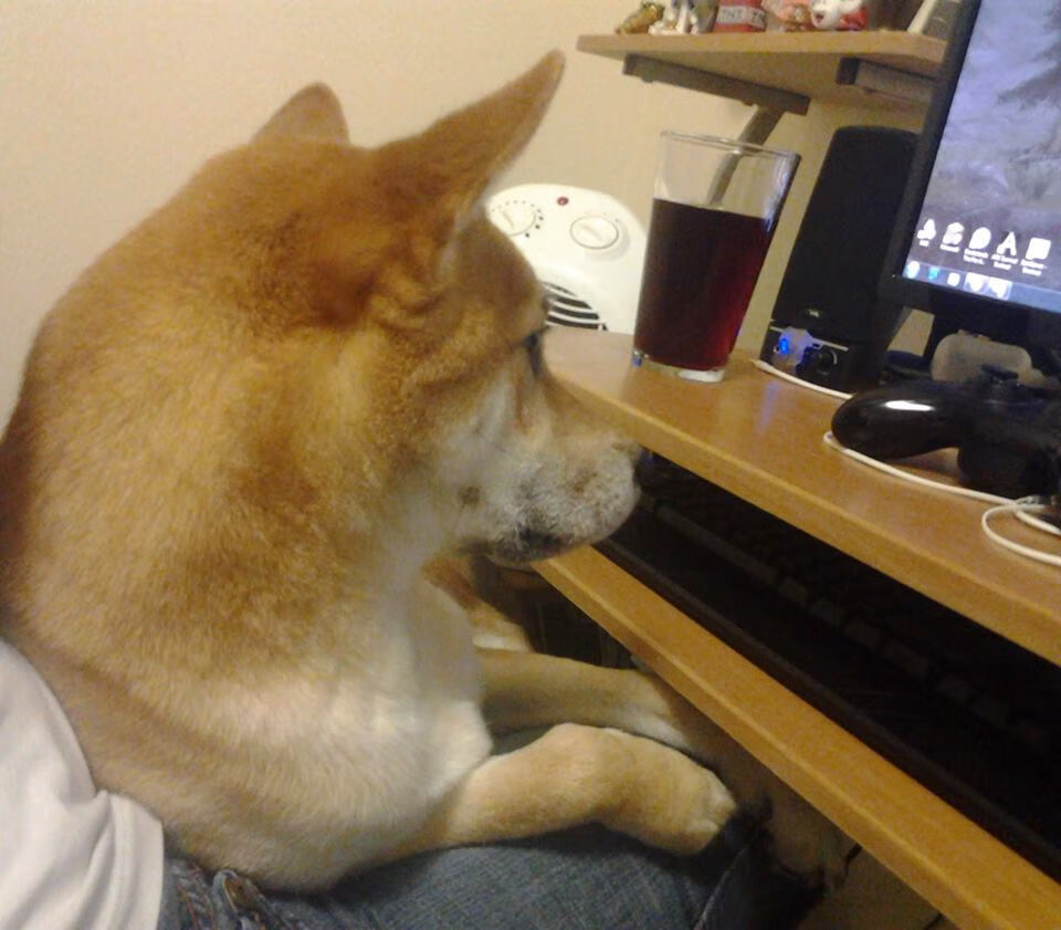 篮球文化走进校园,激发学子运动热情,良好的校园篮球文化