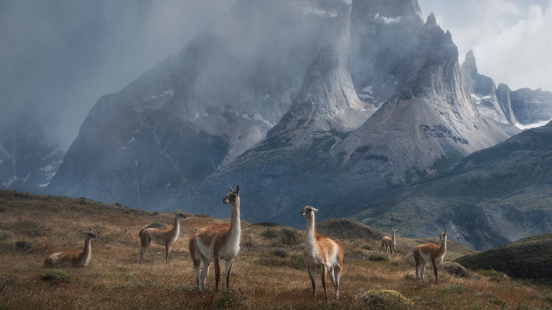 利兹联苦战三小时，惜败对手无缘胜利，利兹联 jd