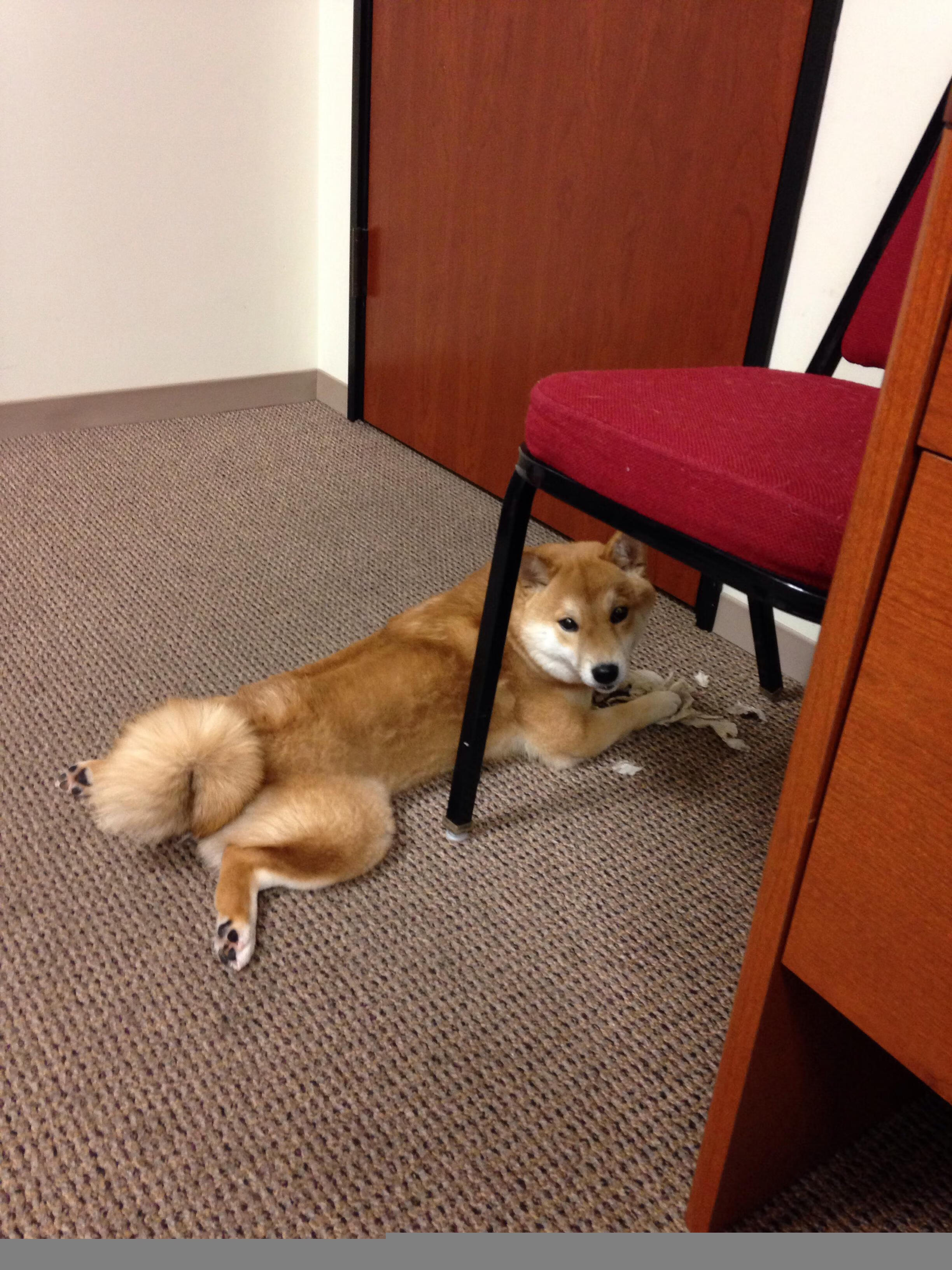 瓜达拉哈拉中场核心发挥出色,助力球队进攻,瓜达拉哈拉对莱昂