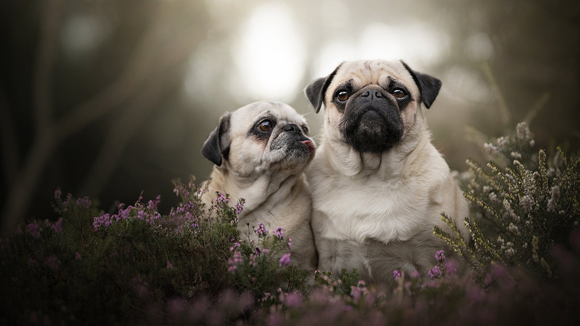 全国青少年漂流锦标赛在黄山激烈展开,全国青少年漂流锦标赛在黄山激烈展开吗