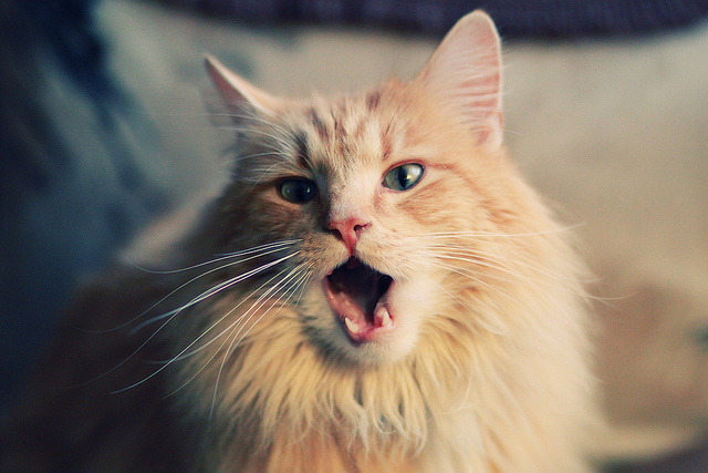 kaiyun登录入口-马拉松再掀热潮比赛延期引发讨论，马拉松赛事延期