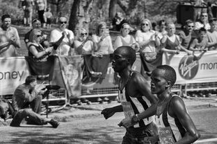 开云官网-塞内加尔男篮在非洲锦标赛中奋战不息，誓夺冠军，南非洲杯塞内加尔