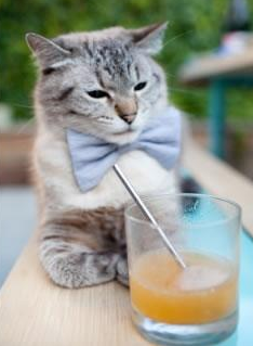 地方篮协与短视频平台合作推广本地赛事扩大影响力,地方篮协组织是什么性质