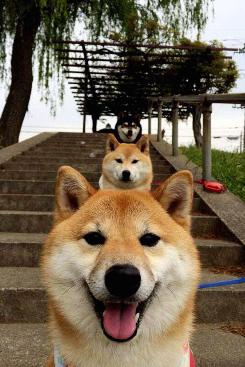 网球青少年公开赛赛制改革提升观赏性,2020青少年网球赛