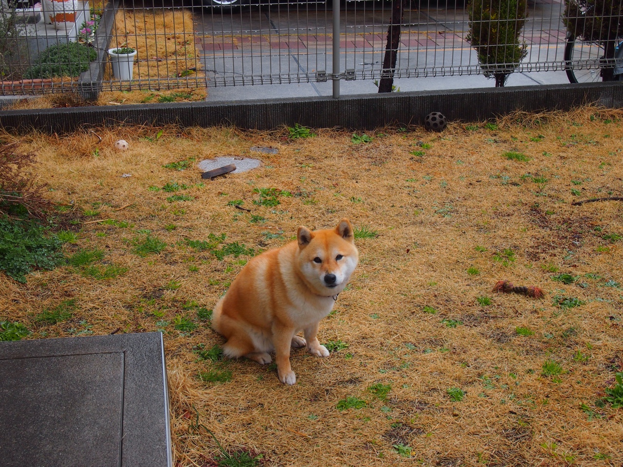 kaiyun开云·官方网站-詹姆斯带动替补发挥湖人深度体现，詹姆斯带领湖人